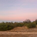 Photo taken by Chris K