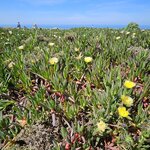 Photo taken by Jon C