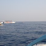 Photo taken by Dixie W