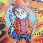 Photo taken by Patricia O