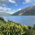 Photo taken by Emily H