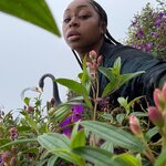 Photo taken by Dennis H