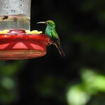 Photo taken by Mary D