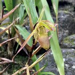 Photo taken by Jennifer P