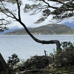 Photo taken by Suzanne M