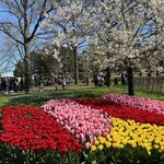 Photo taken by Jennifer D