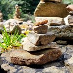 Photo taken by Jill S