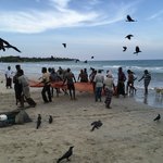 Trincomalee afternoon catch | Photo taken by Wendy T