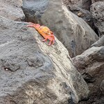 Photo taken by Jennifer A