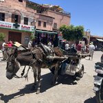 Photo taken by Paula H