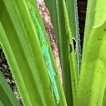 Photo taken by Rosemary S