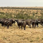 Photo taken by Julien C