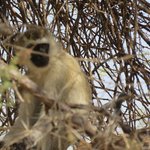 Photo taken by Kristin M