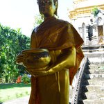 Photo taken by Brook D