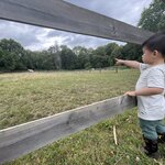 Photo taken by Queenie C