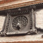 Photo taken by Pania S