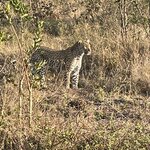 Photo taken by Joanne B