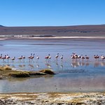 Photo taken by Flaminia R