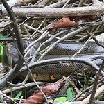 Photo taken by Tom B