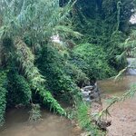 Photo taken by Janice R