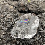 Photo taken by Noelle F