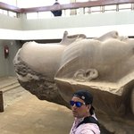 Photo taken by Diego B