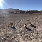 Photo taken by Denisse G