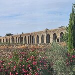 Photo taken by Wayne Z