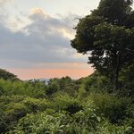 Photo taken by Joyce C