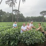 Photo taken by Lindy S