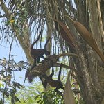 Photo taken by Touraj K