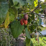 Photo taken by Tara T