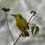 Photo taken by Patricia D