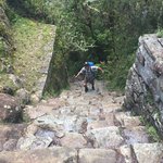 C’mon Rolfi! | Photo taken by Matt M