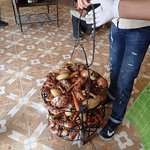 Safi Kitchen | Photo taken by fern k