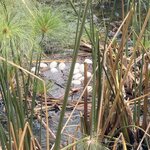 Photo taken by Marcia G