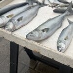 Photo taken by Anne W