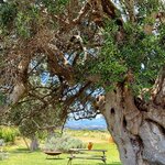 Photo taken by Mike T