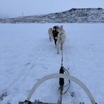 Photo taken by Genevieve R