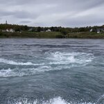 Photo taken by Sharon S