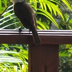 Photo taken by Alda Bernice M