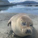 Photo taken by Jessica H