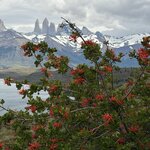 Photo taken by Marcia R