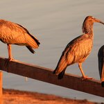 Photo taken by Dennis H