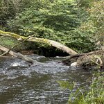 Photo taken by David L