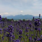 Photo taken by Caroline K