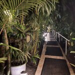 Photo taken by Joyce C