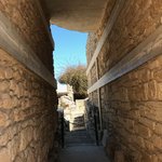 Photo taken by Victoria P