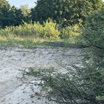 Photo taken by Christopher F