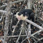 Photo taken by Jacqueline R